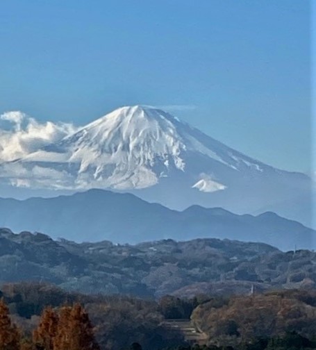 新着情報の画像